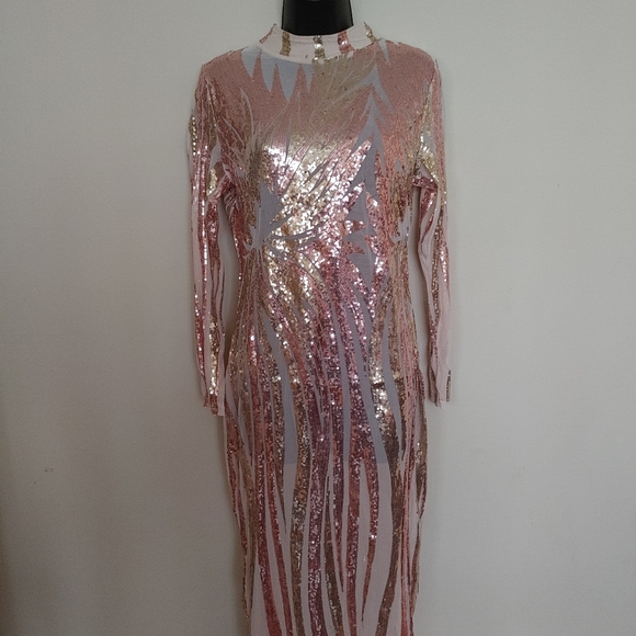 Long Sleeve Nude Mesh Dress - Picture 4 of 4